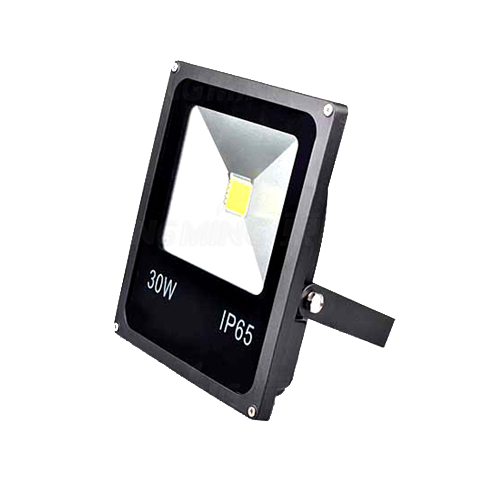 LED Flood Light IP65